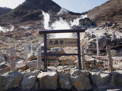 传统日式旅馆 伊其挪揄宏坎酒店 箱根